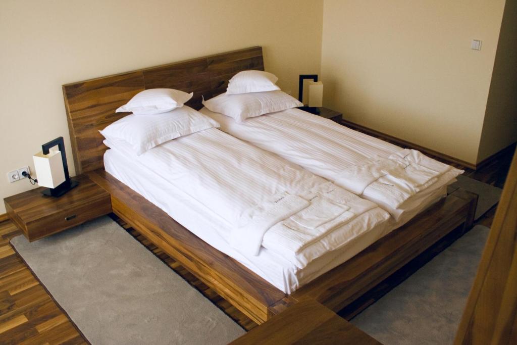 Anthimos Hotel Baile Felix Ruang foto